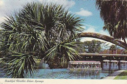 AK 194388 USA - Florida - Silver Springs - Silver Springs