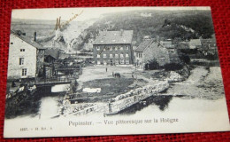 PEPINSTER  -  Vue Pittoresque Sur La Hoëgne - Pepinster