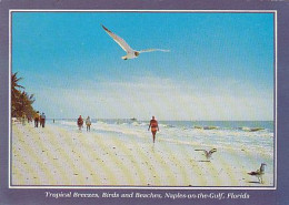 AK 194419 USA - Florida - Naples-on-the-Gulf - Tropical Breezes - Naples