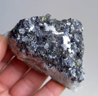 #AUG01.08 GALENIT Mit Chalkopyrit Kristalle (Nikolaevskoye Mine, Dalnegorsk, Primorskiy Kray, Russland) - Minéraux