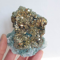#AUG03.03 Bella PIRITE Cristalli (Gavorrano, Grosseto, Toscana, Italia) - Mineralien