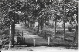 Hilversum Spanderwoud Gelopen 25-3-1949 - Hilversum