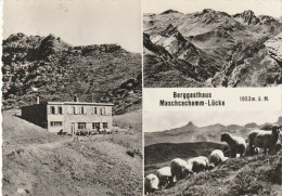 BERGGASTHAUS MASCHACHAM - Flums