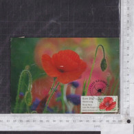 [Carte Maximum / Maximum Card / Maximumkarte] Great Britain 2019 | Lest We Forget 100th Anniversary Postage Label - Automatenmarken [ATM]