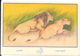Chromo - Publicité Chocolat Delhaize - Série L'Afrique N° 19 - Les Lions (Lion Et Lionne) - Other & Unclassified