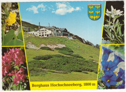 Puchberg Am Schneeberg - Berghaus Hochschneeberg, 1800 M. - (N.Ö., Österreich/Austria) - Neunkirchen