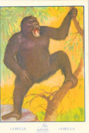 Chromo - Publicité Chocolat Delhaize - Série L'Afrique N° 27 - Le Gorille (Gorilla) - Otros & Sin Clasificación