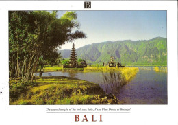 CPM - BALI - THE SACRED TEMPLE OF THE VOLCANIC LAKE - PURA ULUN DANU AT BEDUGUL - Indonésie