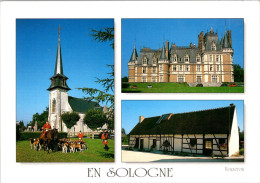 14-1-2024 (1 X  W 9) France - En Sologne - Centre-Val De Loire