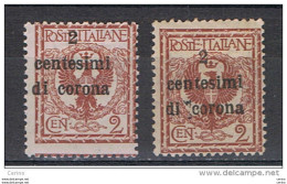 TRENTO  &  TRIESTE:  1919  SOPRASTAMPATO  -  2 C./2 C. ROSSO  BRUNO  N. -  RIPETUTO  2  VOLTE  -  SASS. 2 - Trente & Trieste