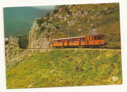 CARTE POSTALE NEUVE LE PETIT TRAIN DE LA RHUNE -64 EDITIONS ARTAUD. - Trains