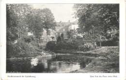 CPA Carte Postale Belgique Carlsbourg Etablissement Vue Du Parc Vers L'est  1912 VM75913 - Paliseul