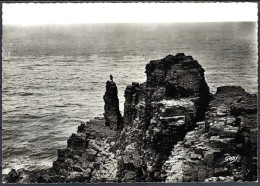 Delcampe - CAP FREHEL - La Pointe Extrême - Cap Frehel