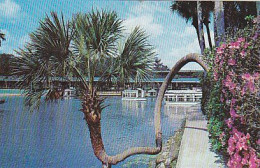 AK 194514 USA - Florida - Silver Springs - Silver Springs