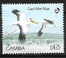 Gambia - MNH ** 1991 :  Great White Pelican -   Pelecanus Onocrotalus - Pélicans