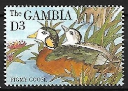 Gambia - MNH ** 1995 : African Pygmy Goose  - Nettapus Auritus - Oies