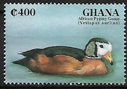 Ghana - MNH ** 1995 :  African Pygmy Goose  -  Nettapus Auritus - Oies