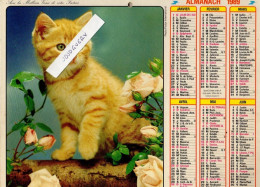 Almanach Calendrier 1989 (chaton , Chiot , Cartes De Cambrai Lille Roubaix Tourcoing Valenciennes Douai Dunkerque Denain - Grand Format : 1981-90