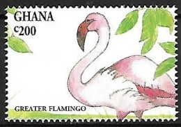 Ghana - MNH ** 1994 :   Greater Flamingo  -  Phoenicopterus Roseus - Flamingos