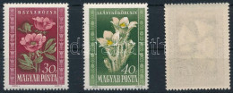 ** 1950 Virág (II.nyomás) 30f, 40f és 1,70Ft , Az 1,70Ft-os Bélyeg átszivárgó Nyomattal - Sonstige & Ohne Zuordnung
