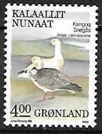 Greenland - MNH ** 1988 :  Snow Goose  -  Anser Caerulescens - Oies