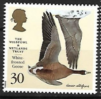 Great Britain - MNH ** 1996 :  Greater White-fronted Goose  -  Anser Albifrons - Oies