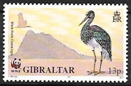 Gibraltar - MNH ** 1991 :  Black Stork  -  Ciconia Nigra - Cigognes & échassiers