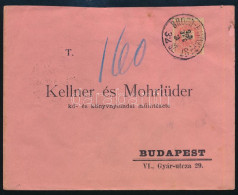 1899 Levél BROOD-BUDAPEST Vasúti Mozgóposta Bélyegzéssel / Cover With Railway Postmark - Altri & Non Classificati