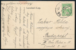 1916 Képeslap ZÓLYOM-BREZO-ZÓLYOM Vasúti Mozgóposta Bélyegzéssel / Postcard With Railway Postmark - Otros & Sin Clasificación