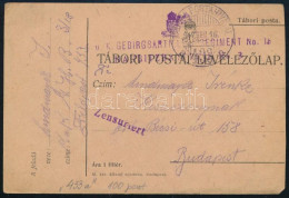 1917 Tábori Posta Levelezőlap / Field Postcard Cenzúrázva "K.u.K. GEBIRGSARTILLERIEREGIMENT No. 18 / HAUBITZBATTERIE No. - Other & Unclassified