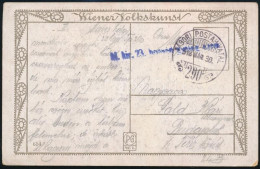 1918 Tábori Posta Képeslap "M.kir. 23. Honvéd Gyalog Ezred" + "TP 290" - Other & Unclassified