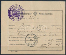 1891 Távirati Díjnyugta "S.M. SCHIFF HUM" + "ROVIGNO" - Other & Unclassified