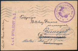 1915 Tábori Posta Levelezőlap "K.u.K. SPITALSCHIFF No. 3." - Otros & Sin Clasificación