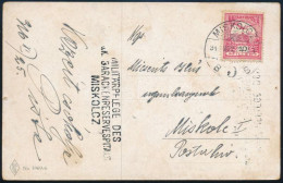 1916 Zsáner Képeslap Turul 10f Bérmentesítéssel "MILITARPFLEGE DES / (K.)u.K. BARACKENRESERVESPITALIS / MISKOLCZ" - Other & Unclassified