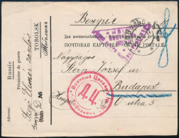 1917 A Fogolytábor (TOBOLSK) Nevével Előnyomott Hadifogoly Levelezőlap Budapestre - Other & Unclassified
