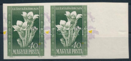 ** 1950 Virág 40f Vágott ívszéli Pár Látványosan Elcsúszott Lila és Sárga Színnyomattal - Sonstige & Ohne Zuordnung