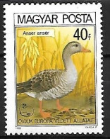 Hungary (Magyar) - MNH **  Greylag Goose -   Anser Anser - Geese