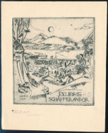 Vadász Endre (1901-1944): Ex Libris Schäffer Andor, Rézkarc, Papír, Jelzett, 9×8,5 Cm - Other & Unclassified