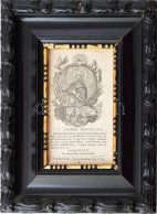 Damaszkuszi Szent János (S. Ioanes Damascen), 1758. Rézmetszet, Papír. Typis Academ. S. J. 11,5x7 Cm. Üvegezett Fakeretb - Gravures