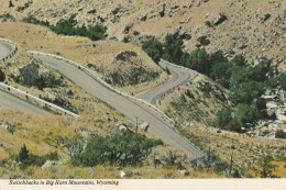 Switchbacks In Big Horn Mountains, Wyoming - Sonstige & Ohne Zuordnung