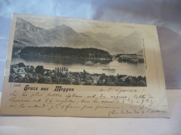 GRUSS AUS MEGGEN SUISSE LU LUCERNE CPA 1902 - Meggen