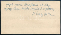 1943 Orosz Júlia (1908-1997) Opera-énekesnő Saját Kézzel írt Részvétnyilvánító Sorai Szügyi Kálmán (1888-1943) Operaének - Ohne Zuordnung