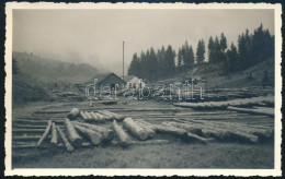 Cca 1940 Romoly (Romuli), Erdély, Fűrésztelep, A Hátoldalon Feliratozott Fotó, 13,5x8,5 Cm - Sonstige & Ohne Zuordnung