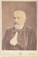 Cca 1885 Úriember Portréja, Keményhátú Fotó B. Johannes Merani Műterméből, 16,5×10,5 Cm - Autres & Non Classés