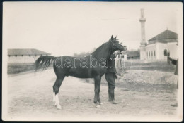 Cca 1930-1940 Lovat ábrázoló Fotó, Jó állapotban, 14,5x9,5 Cm - Sonstige & Ohne Zuordnung