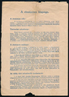 Cca 1945 A Cionizmus Lényege Röplap Letépett Támogatói Jegyekkel 4 P - Other & Unclassified