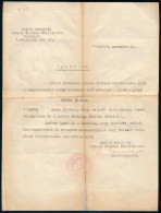 Cca 1944 Bp., A Svájci Követség által Kiállított Menlevél (Schutzpass) Román állampolgár Részére / Schutzpass Issued By  - Autres & Non Classés