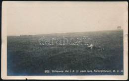 1915 A Cs. és Kir. 71. Gyalogezred Halottjai Egy Orosz Lovassági Roham Után A Keleti Fronton, Ditkowce (Ditkivtsi, Ukraj - Sonstige & Ohne Zuordnung