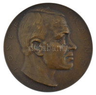 Ausztria 1910. "IOSEF KAINZ / 20. SEPT. 1910" Bronz Emlékérem. Szign.: Hofner (60mm) T:1-,2 Kis Ph. Austria 1910. "IOSEF - Sin Clasificación