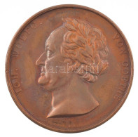 Német Államok / Szászország 1826. "Johann Wolfgang Von Goethe" Bronz Emlékérem Kissé Sérült Műanyag Dísztokban. Szign.:  - Ohne Zuordnung